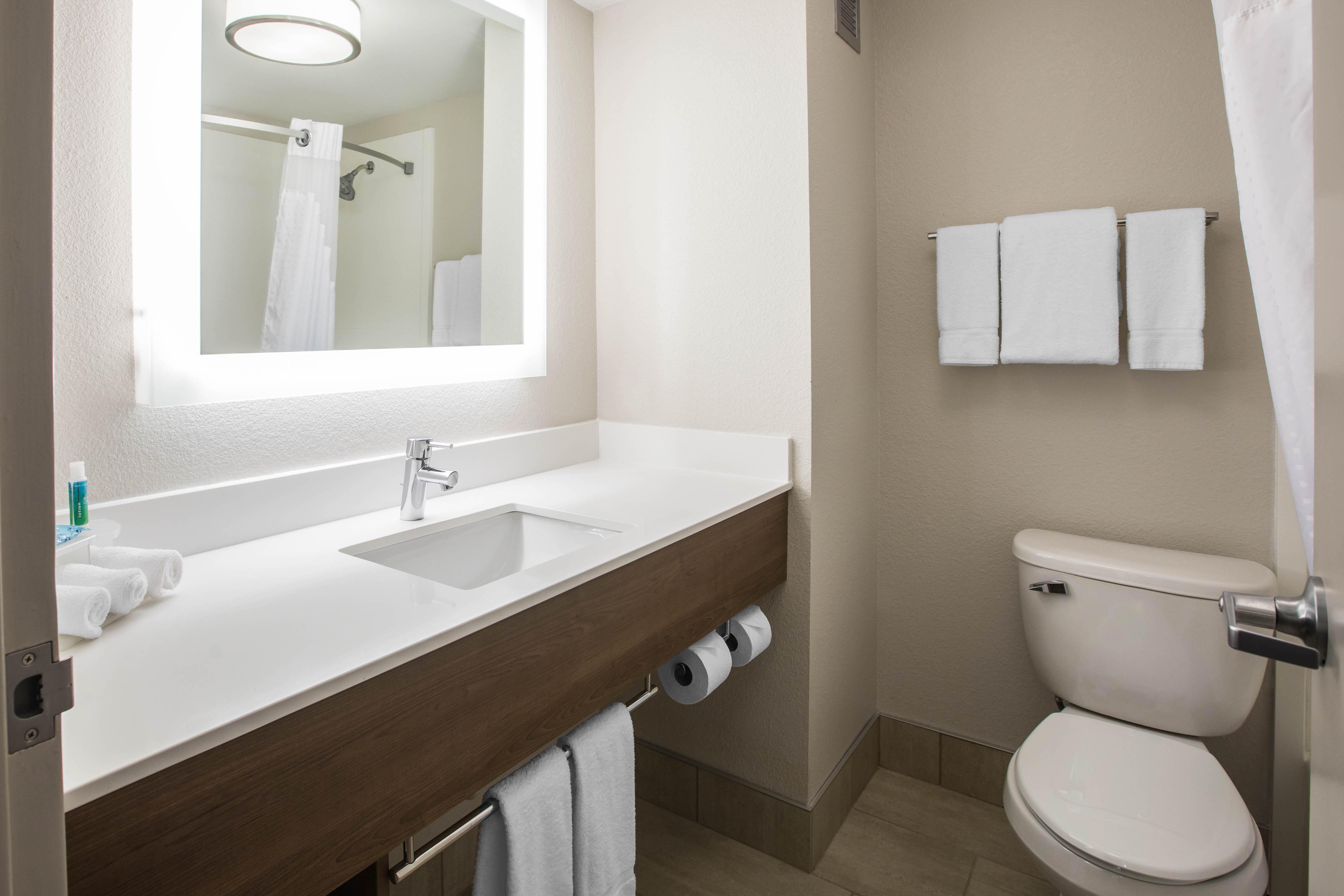 Holiday Inn Express & Suites Ludington By Ihg Buitenkant foto